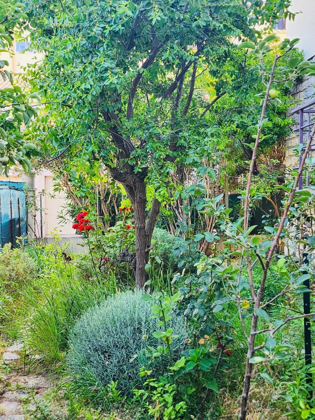 Appartement Paisible Pour 4 Personnes Μονπελιέ Εξωτερικό φωτογραφία